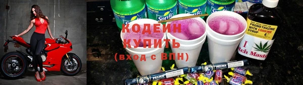прущий лед Алзамай