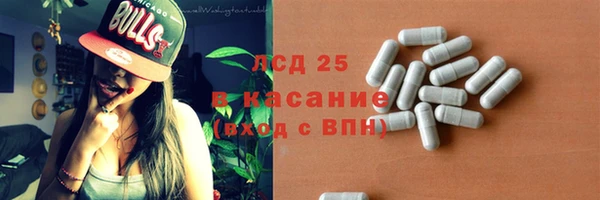 прущие грибы Тайга