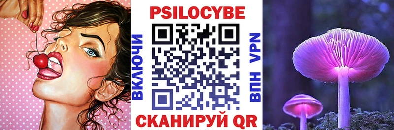 Псилоцибиновые грибы мицелий  Новочеркасск 