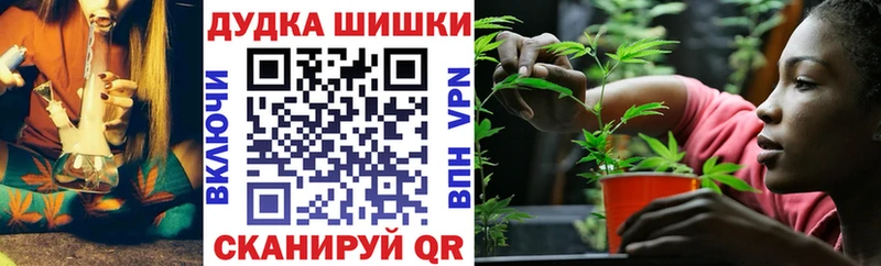 Конопля сатива  Новочеркасск 
